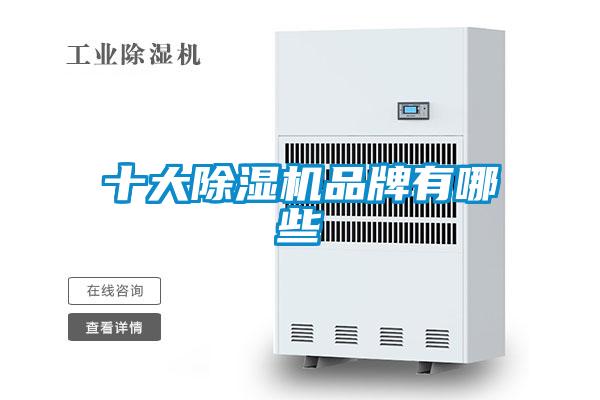 十大好色先生污污版品牌有哪些