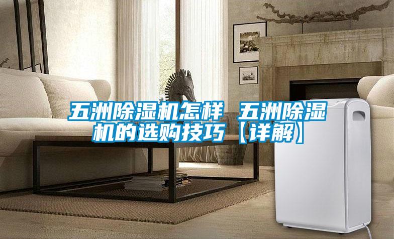 五洲好色先生污污版怎样 五洲好色先生污污版的选购技巧【详解】