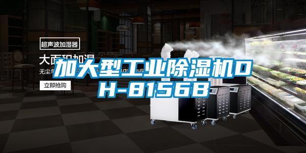 加大型工业好色先生污污版DH-8156B
