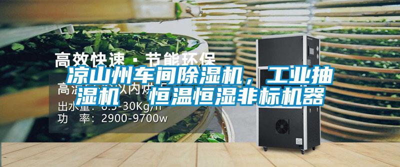凉山州车间好色先生污污版，工业抽湿机  恒温恒湿非标机器