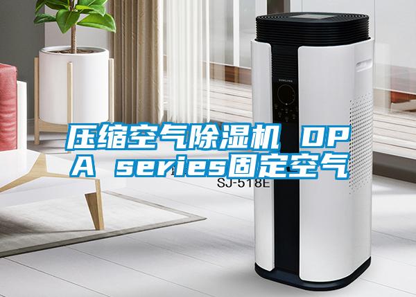 压缩空气好色先生污污版 DPA series固定空气
