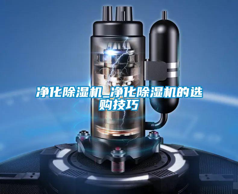 净化好色先生污污版_净化好色先生污污版的选购技巧