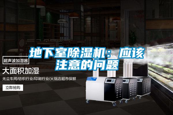 地下室好色先生污污版：应该注意的问题