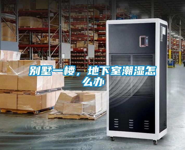 别墅一楼，地下室潮湿怎么办