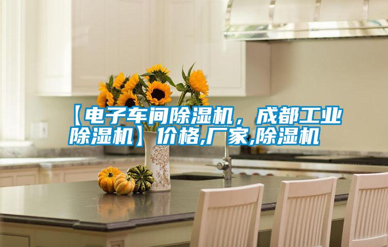 【电子车间好色先生污污版，成都工业好色先生污污版】价格,厂家,好色先生污污版