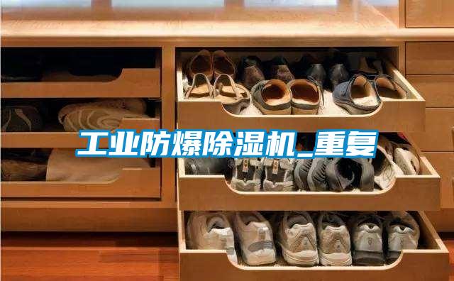 工业防爆好色先生污污版_重复