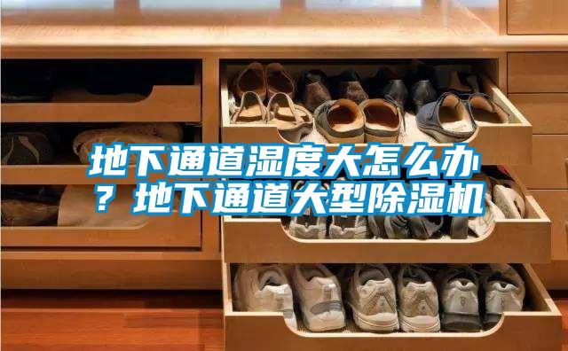 地下通道湿度大怎么办？地下通道大型好色先生污污版