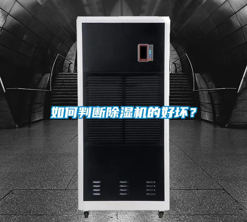 如何判断好色先生污污版的好坏？