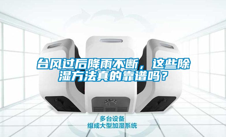 台风过后降雨不断，这些除湿方法真的靠谱吗？
