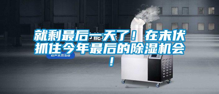 就剩最后一天了！在末伏抓住今年最后的好色先生污污版会！