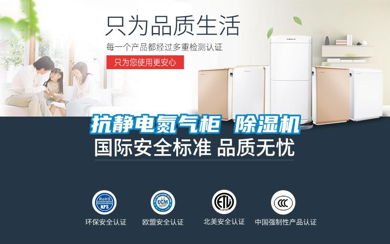 抗静电氮气柜 好色先生污污版