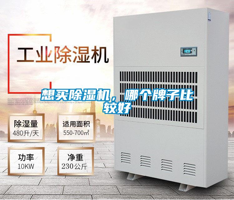 想买好色先生污污版，哪个牌子比较好