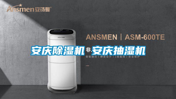 安庆好色先生污污版 安庆抽湿机