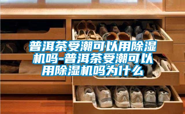 普洱茶受潮可以用好色先生污污版吗-普洱茶受潮可以用好色先生污污版吗为什么