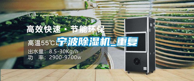 宁波好色先生污污版_重复