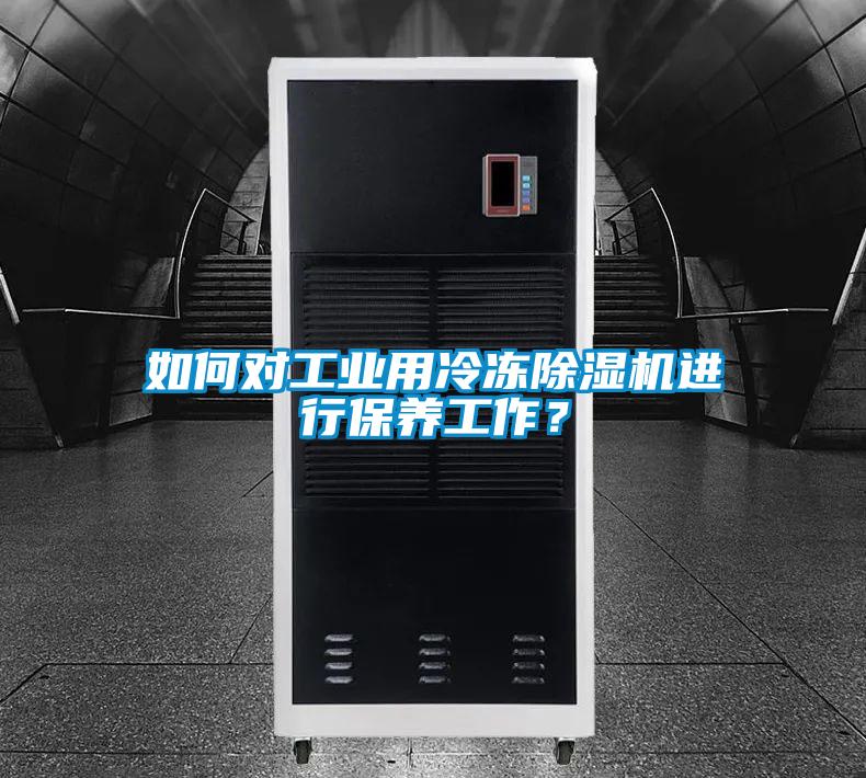 如何对工业用冷冻好色先生污污版进行保养工作？