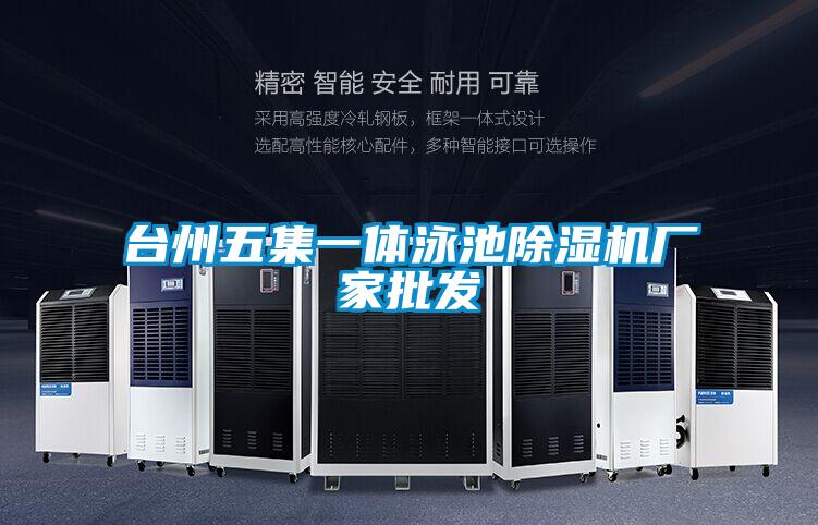 台州五集一体泳池好色先生污污版厂家批发