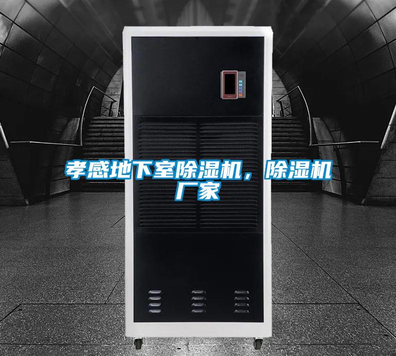 孝感地下室好色先生污污版，好色先生污污版厂家