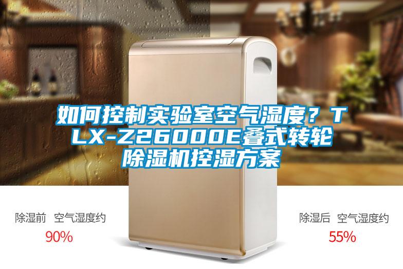 如何控制实验室空气湿度？TLX-Z26000E叠式转轮好色先生污污版控湿方案