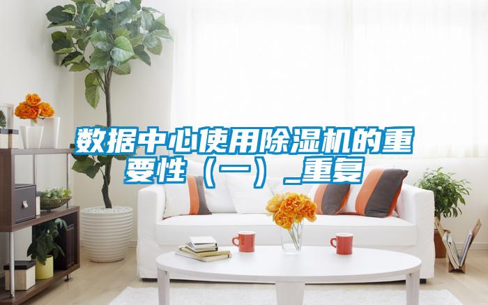 数据中心使用好色先生污污版的重要性(一)_重复