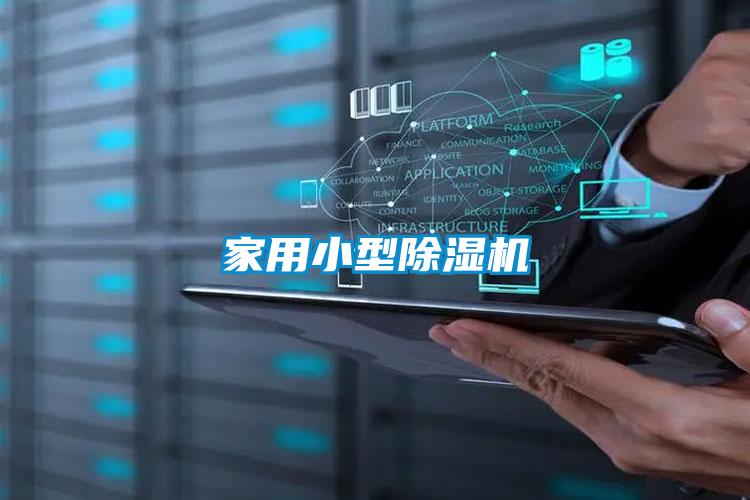 家用小型好色先生污污版