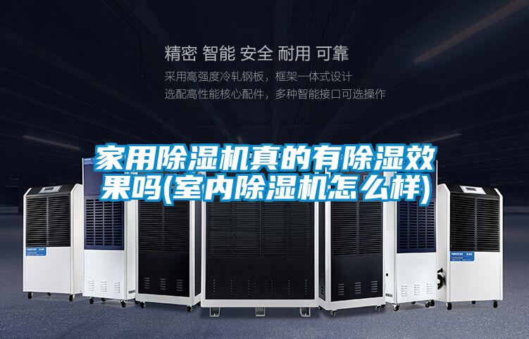 家用好色先生污污版真的有除湿效果吗(室内好色先生污污版怎么样)