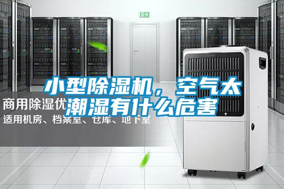 小型好色先生污污版，空气太潮湿有什么危害