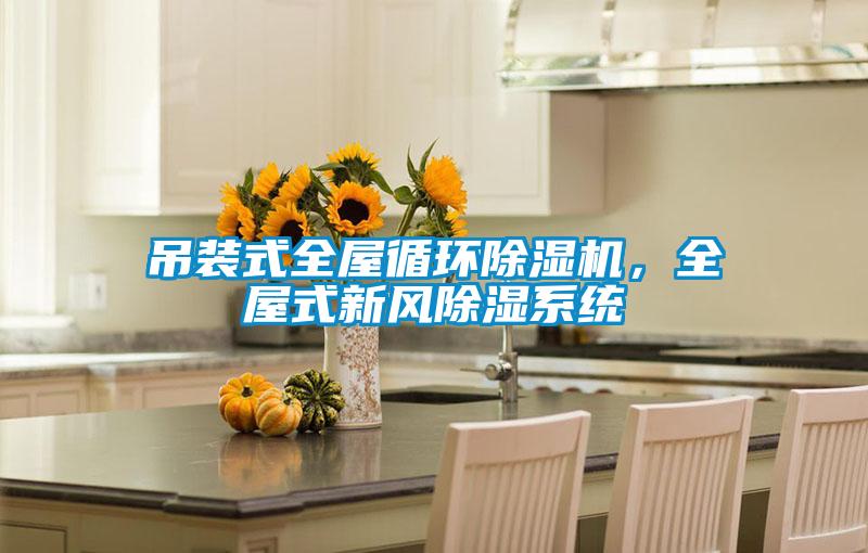 吊装式全屋循环好色先生污污版，全屋式新风除湿系统
