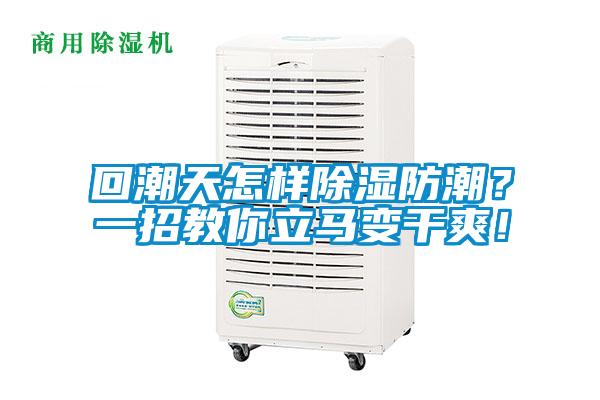 回潮天怎样除湿防潮？一招教你立马变干爽！