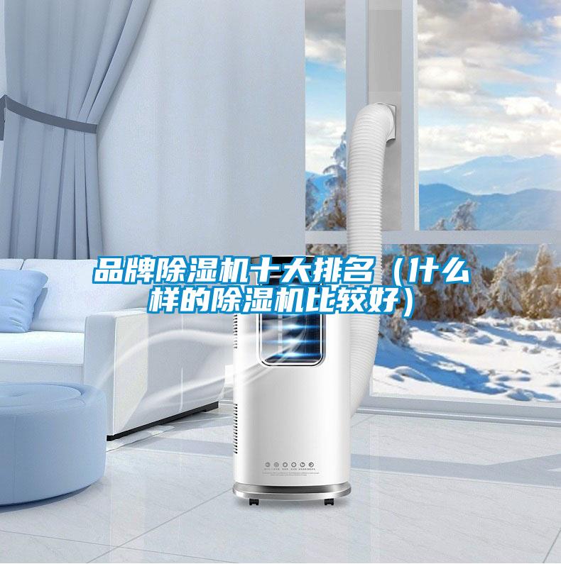 品牌好色先生污污版十大排名(什么样的好色先生污污版比较好)