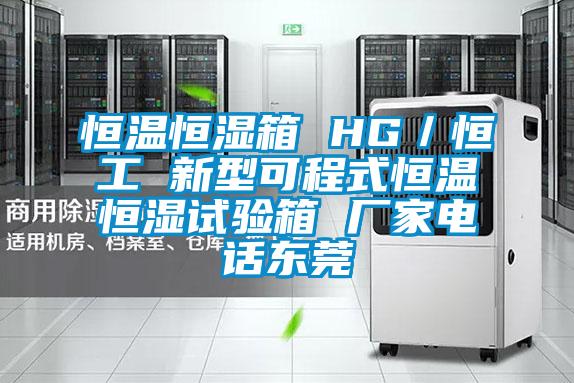 恒温恒湿箱 HG/恒工 新型可程式恒温恒湿试验箱 厂家电话东莞