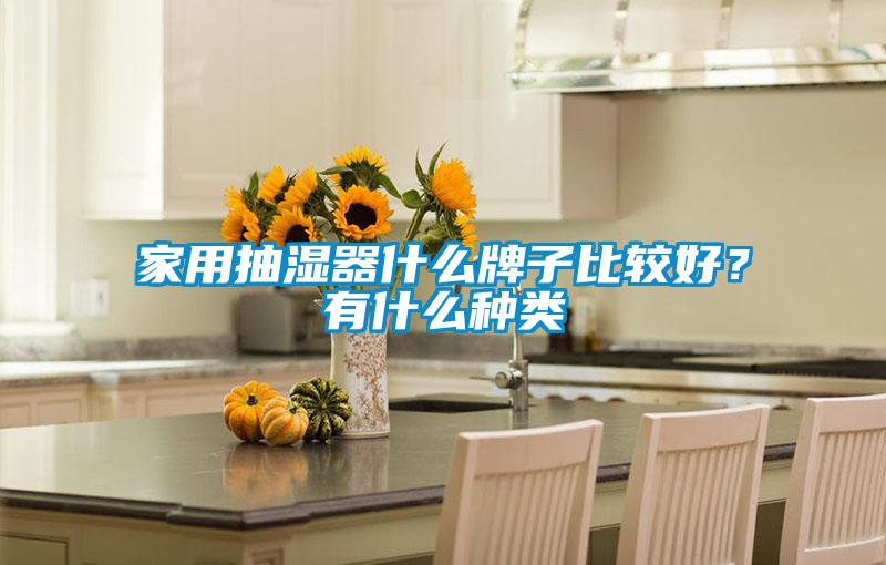 家用抽湿器什么牌子比较好？有什么种类