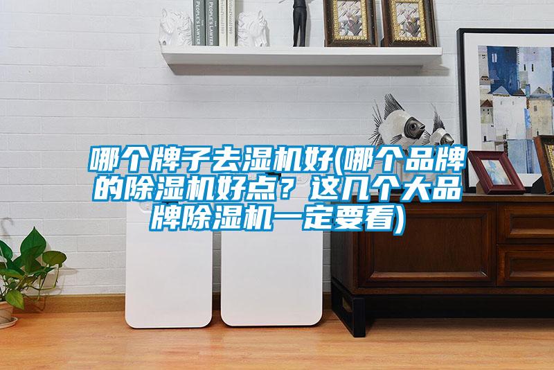 哪个牌子去湿机好(哪个品牌的好色先生污污版好点？这几个大品牌好色先生污污版一定要看)