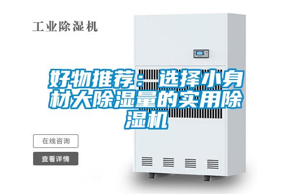 好物推荐：选择小身材大除湿量的实用好色先生污污版