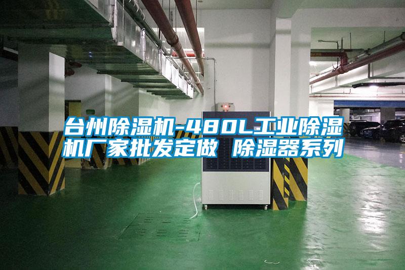 台州好色先生污污版-480L工业好色先生污污版厂家批发定做 除湿器系列