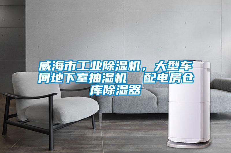 威海市工业好色先生污污版，大型车间地下室抽湿机  配电房仓库除湿器