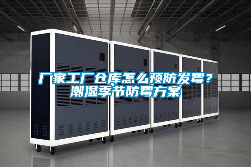 厂家工厂仓库怎么预防发霉？潮湿季节防霉方案