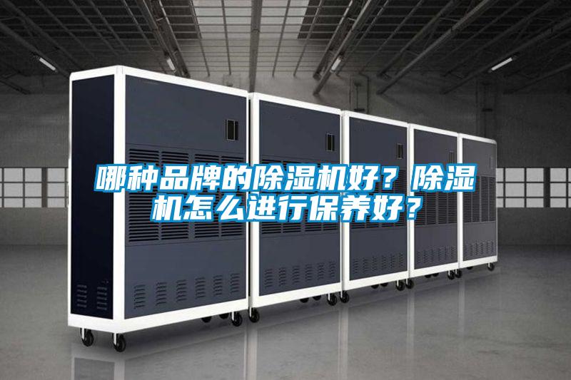 哪种品牌的好色先生污污版好？好色先生污污版怎么进行保养好？