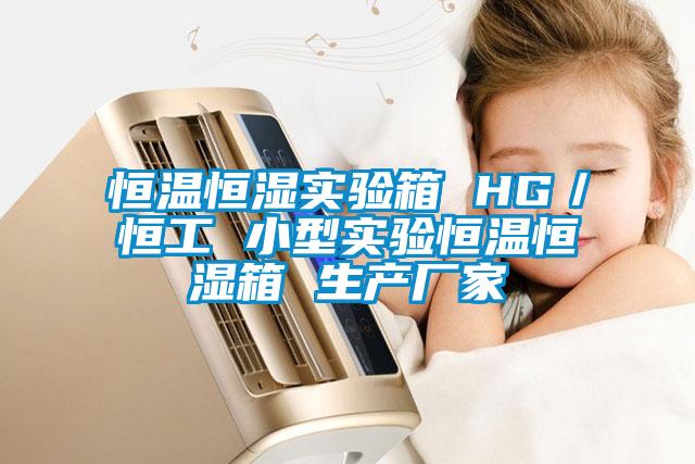 恒温恒湿实验箱 HG/恒工 小型实验恒温恒湿箱 生产厂家