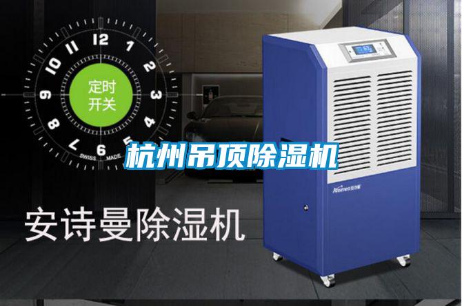 杭州吊顶好色先生污污版