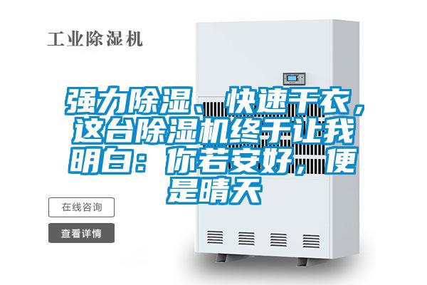 强力除湿、快速干衣，这台好色先生污污版终于让我明白：你若安好，便是晴天