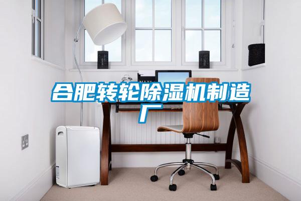 合肥转轮好色先生污污版制造厂