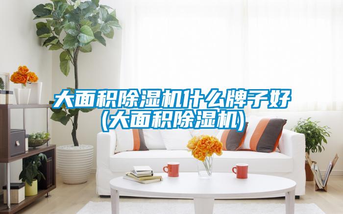 大面积好色先生污污版什么牌子好(大面积好色先生污污版)