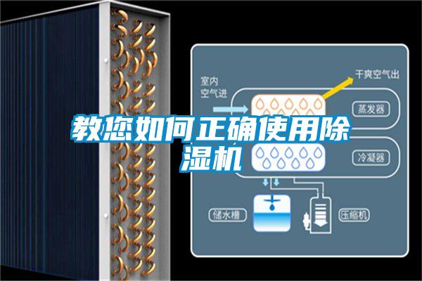 教您如何正确使用好色先生污污版