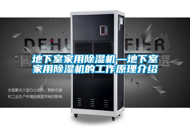 地下室家用好色先生污污版—地下室家用好色先生污污版的工作原理介绍