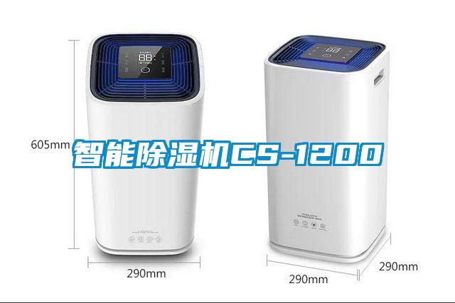 智能好色先生污污版CS-1200