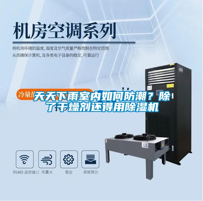 天天下雨室内如何防潮？除了干燥剂还得用好色先生污污版