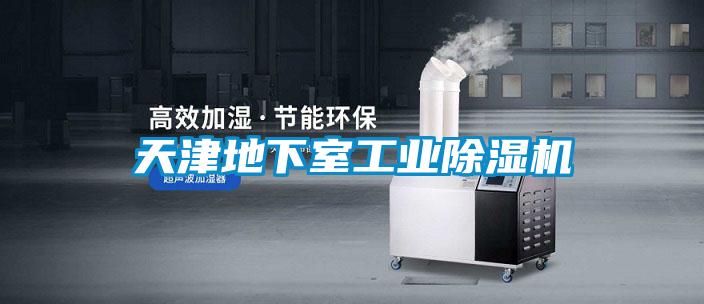 天津地下室工业好色先生污污版