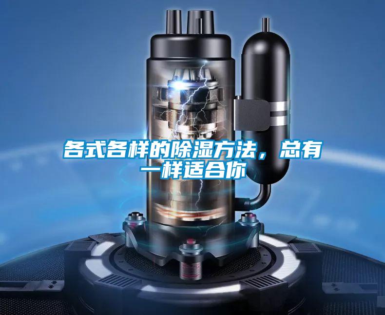 各式各样的除湿方法，总有一样适合你