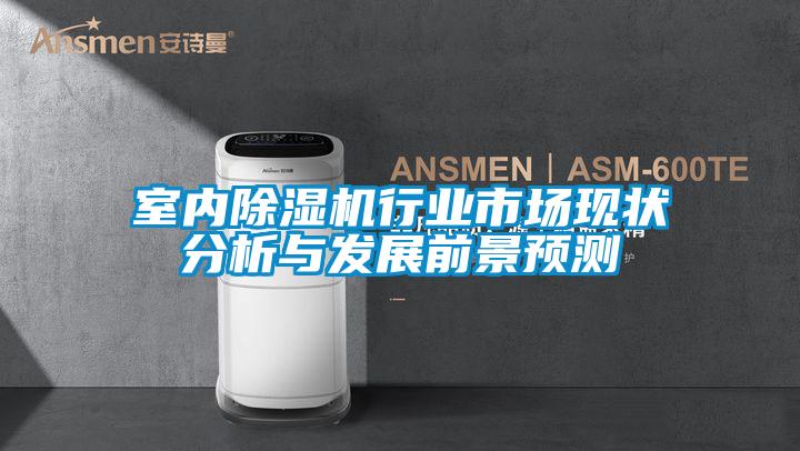 室内好色先生污污版行业市场现状分析与发展前景预测